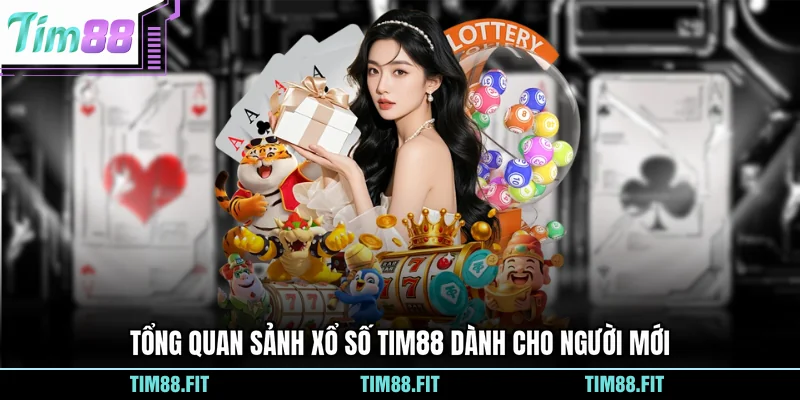 Tổng quan sảnh xổ số Tim88 dành cho người mới
